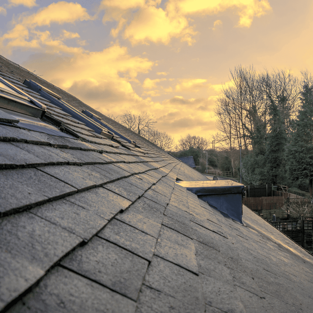 a closeup picture of a roof and its underlayment