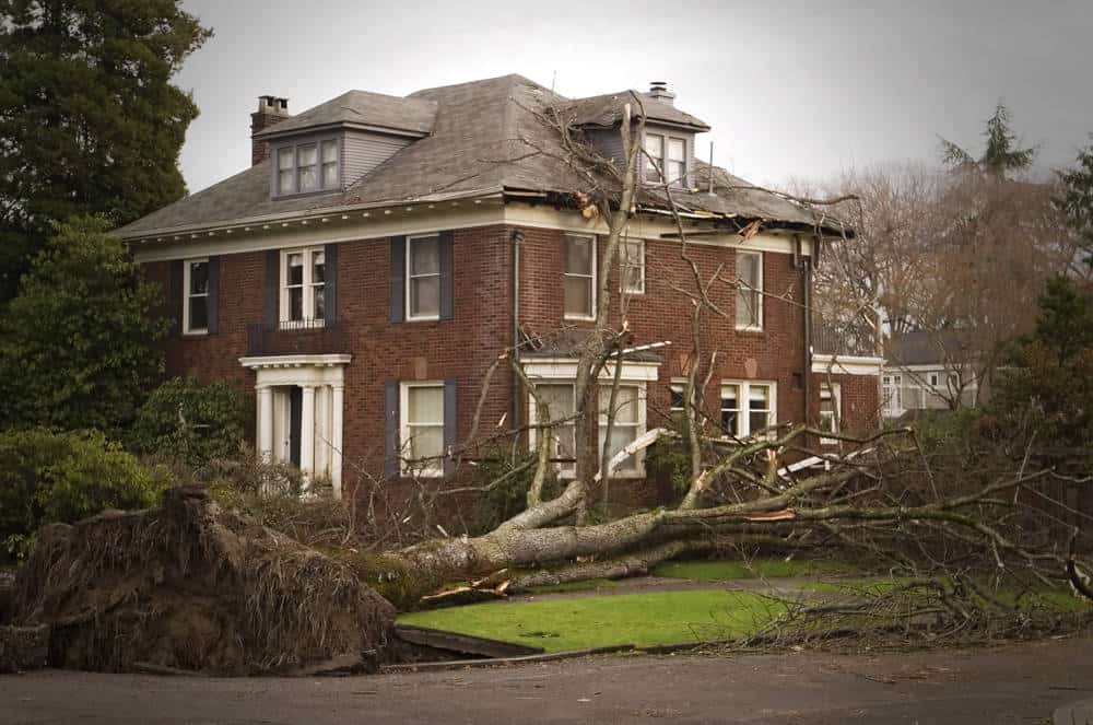neighbors tree fell on top of house damaging it.
