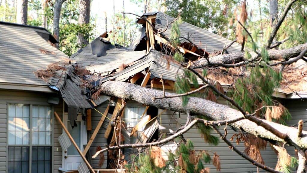 Tree that fell on a house damaging it 