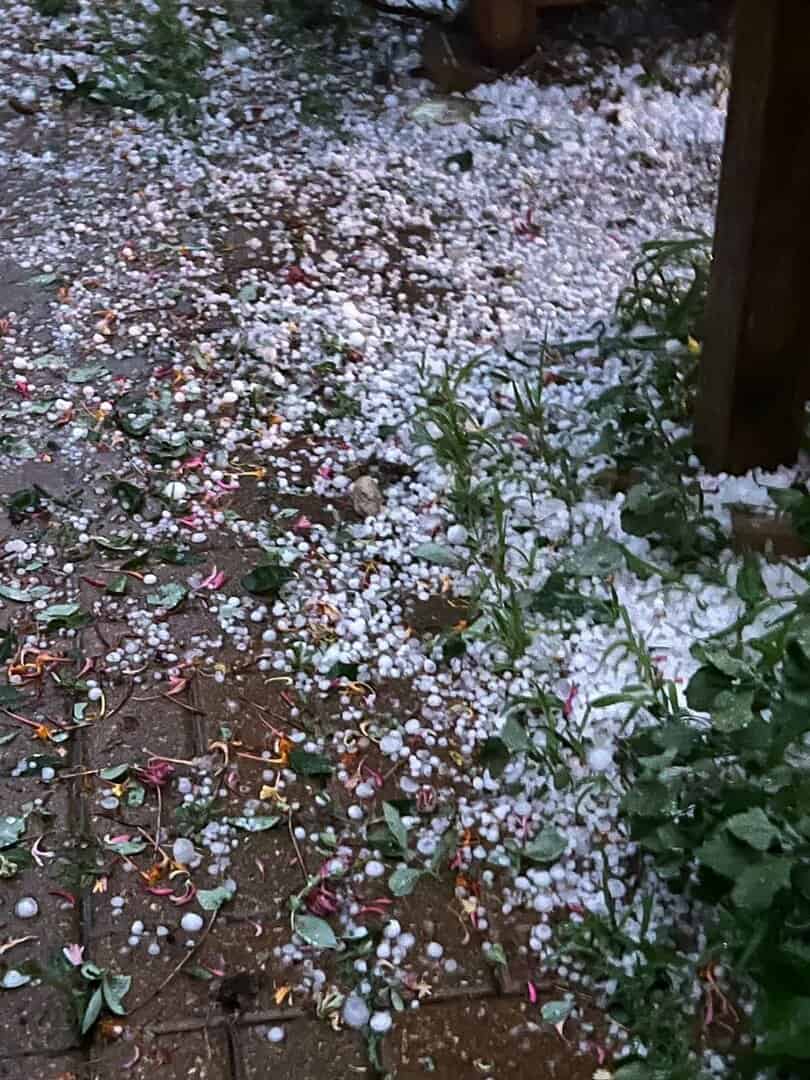 Brick and grass show though hail on ground after a hail storm in colorado