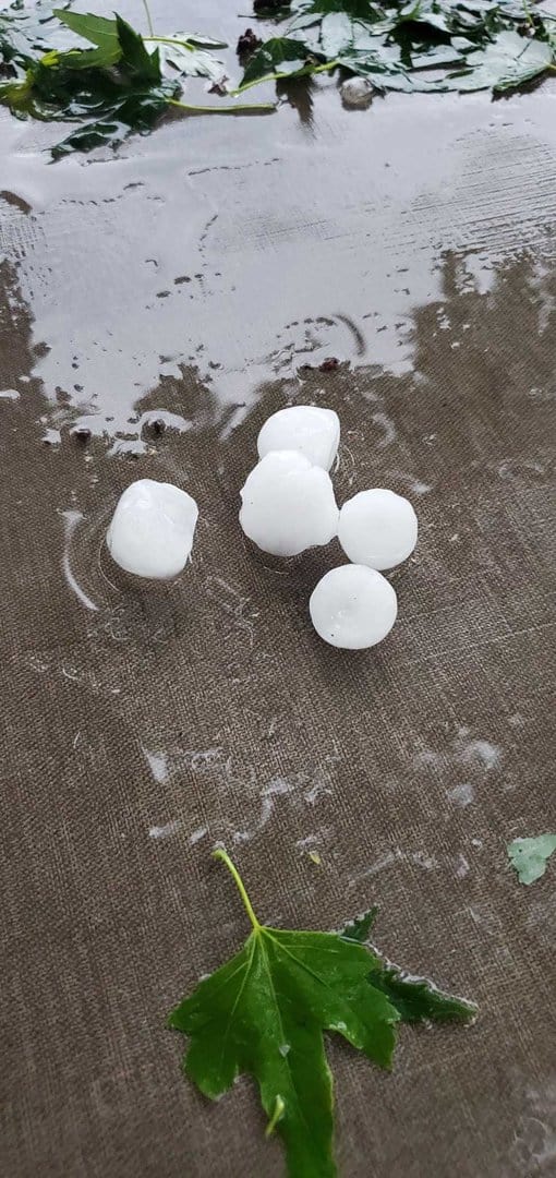 Hailstones on pavement from Denver Area Hail storm, many residential roofs damaged